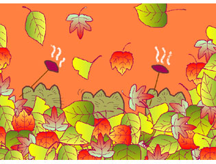 The season of the autumn colors