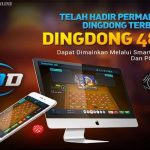 Aturan Dalam Live Dingdong 48D HKB Gaming